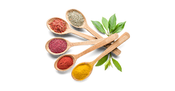 Herbs, Spices & Seasonings